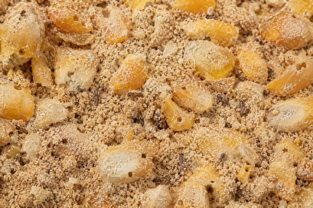 Pó fino e degradação